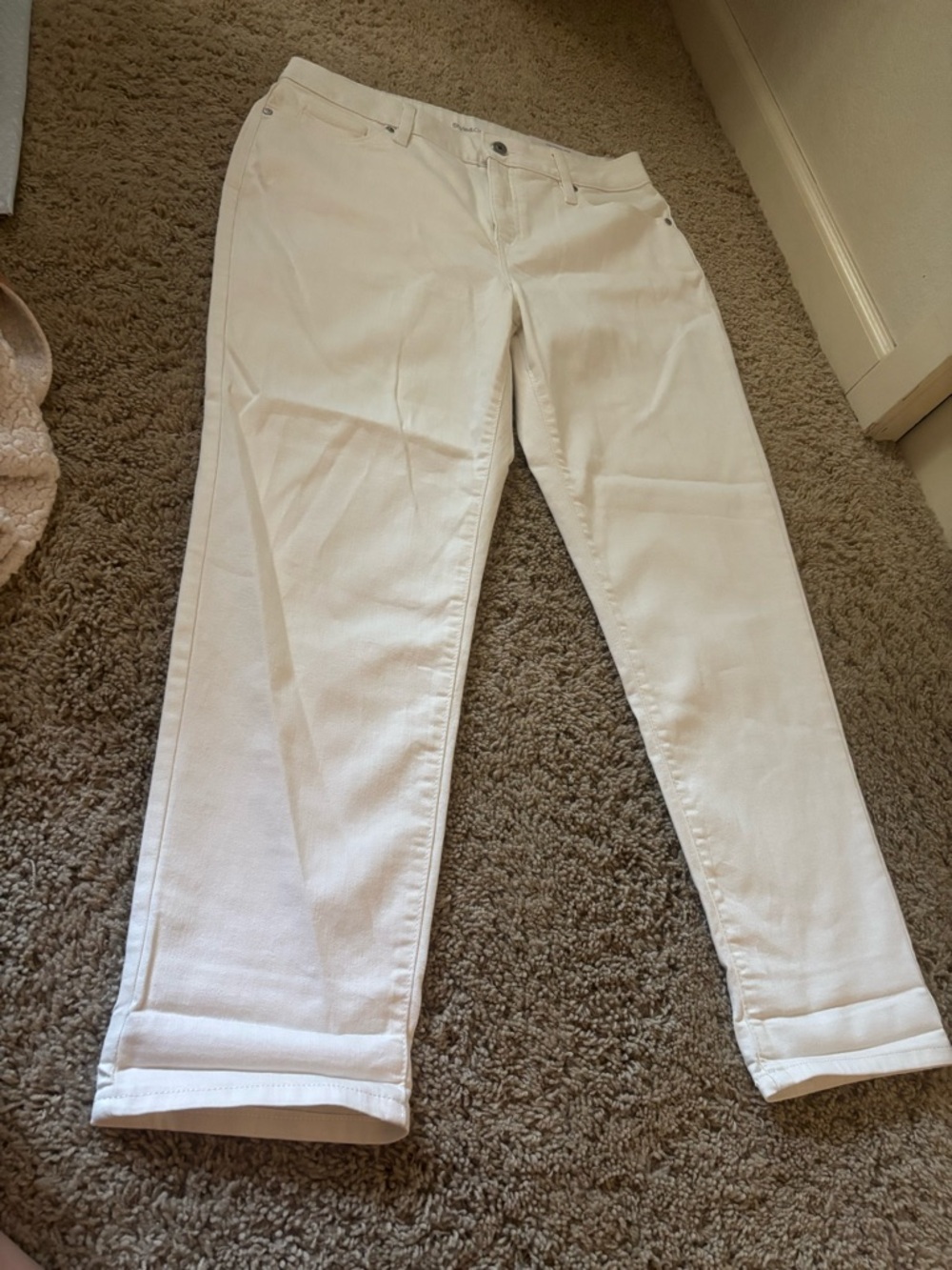 Pants